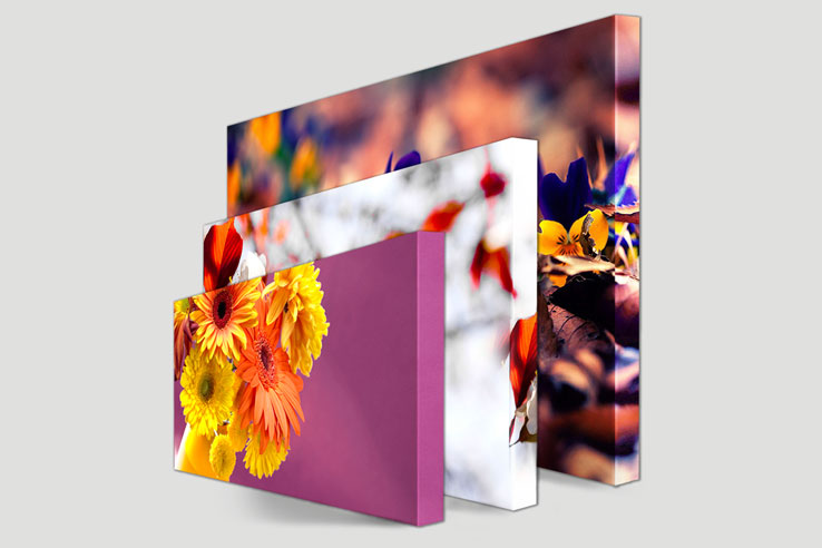 Canvas Prints for your Home
