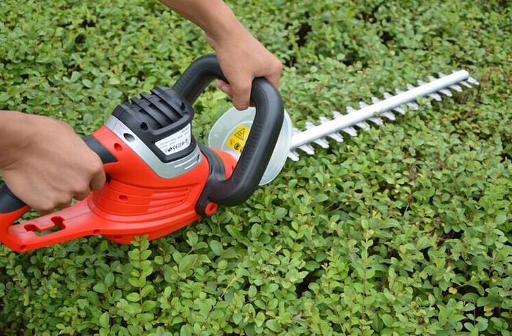 How to Choose The Best Hedge Trimmer?